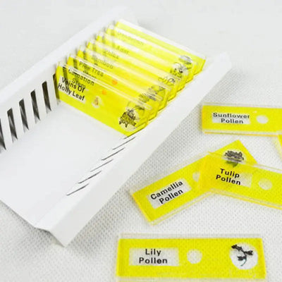Pack 48 Muestras null