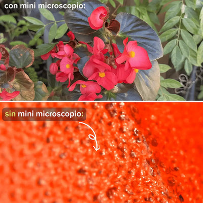 El mini microscopio null